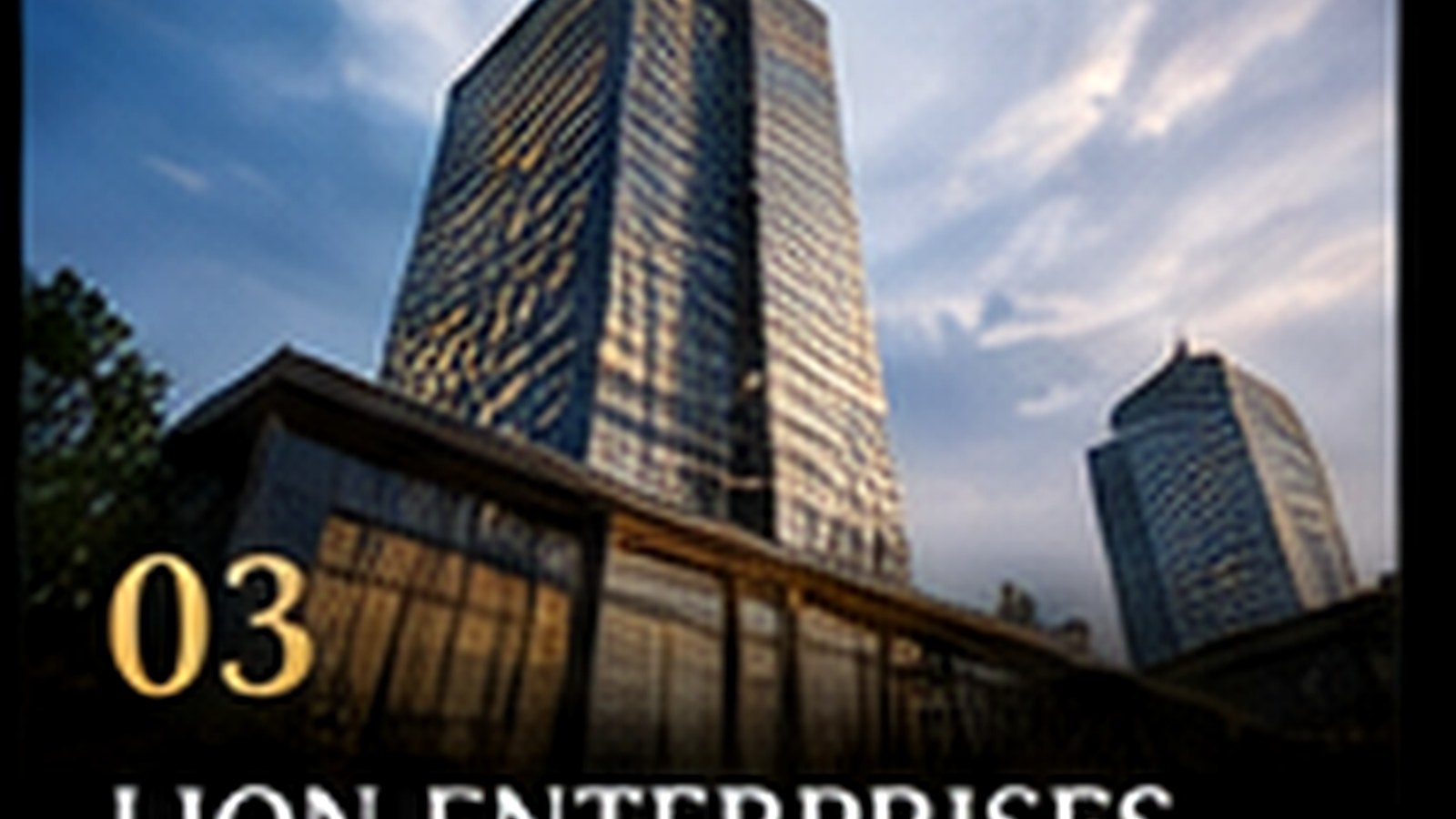 LION Enterprises